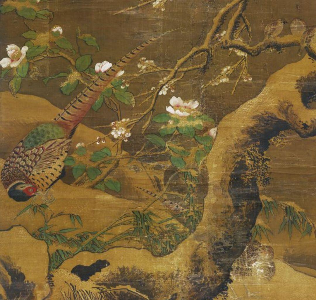 三年级小鸟填空词语揭秘，多彩的小鸟世界