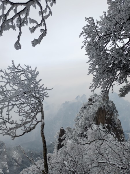 二年级词语揭秘，黄山奇石的独秀之美