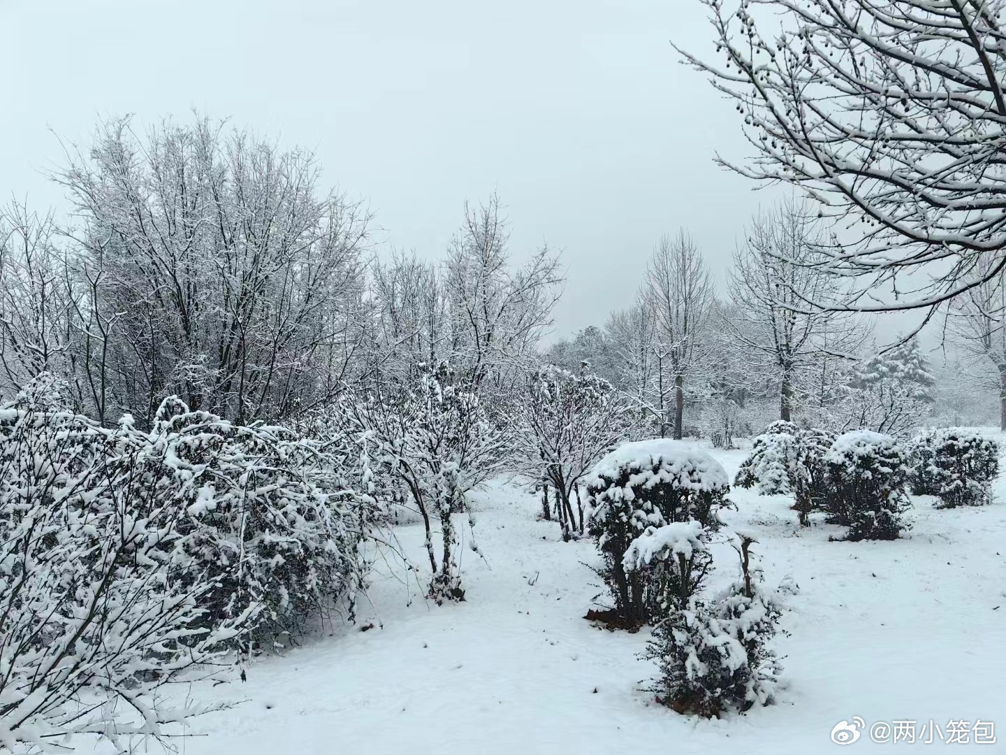 2024年雪季展望，何时迎来降雪？