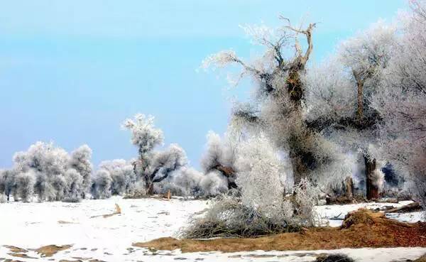 江苏冬雪奇景，展望2025年冬季的银装素裹时刻