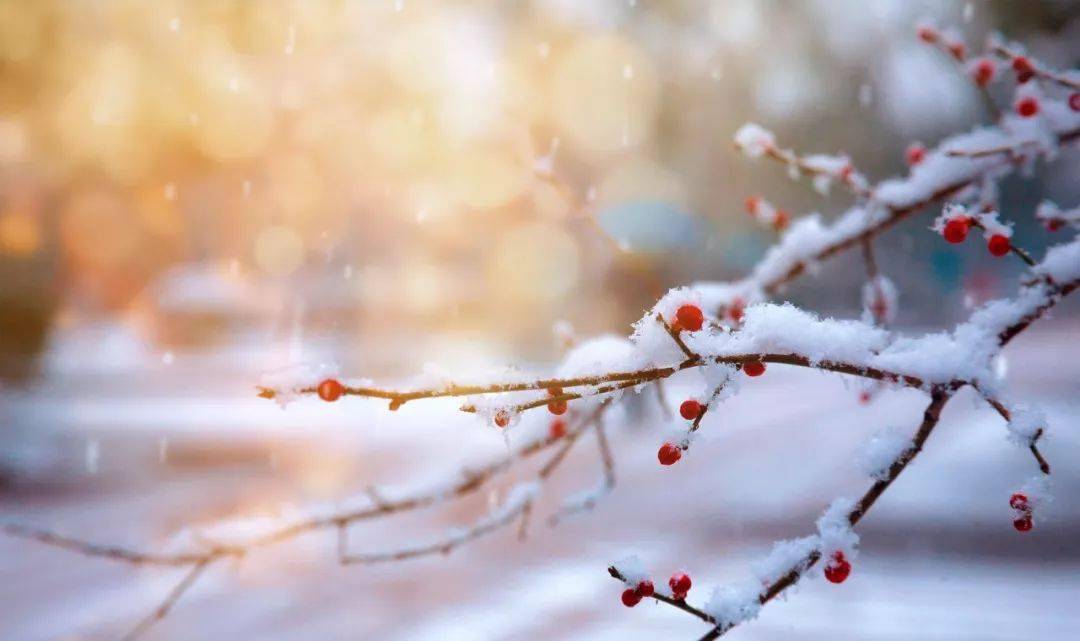 安徽季节探寻，何时雪花纷飞？