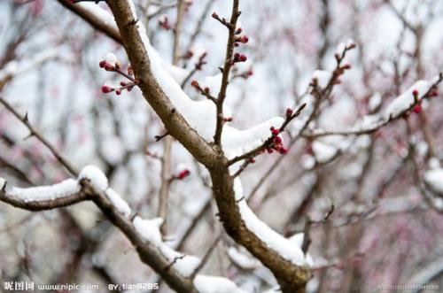 安徽季节探寻，何时雪花纷飞？