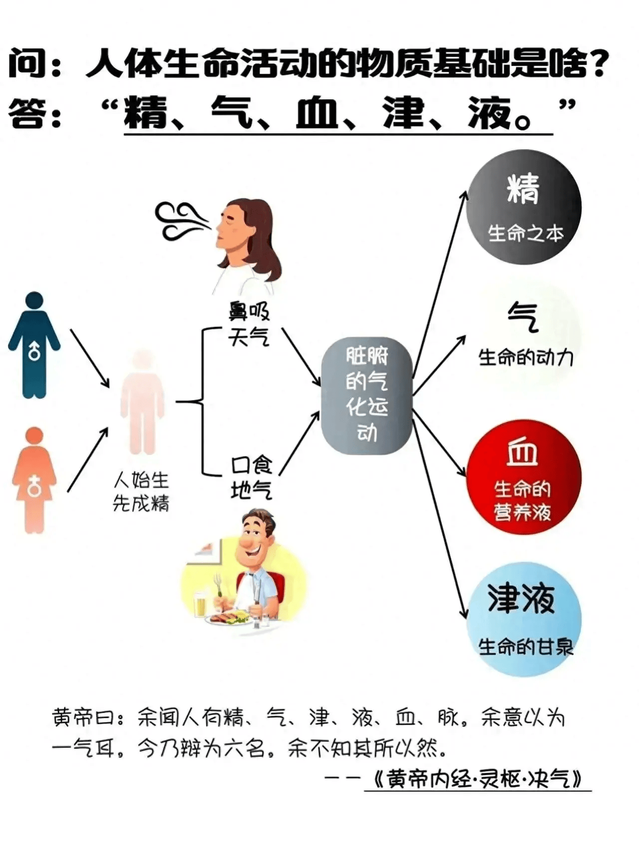 生命的呼吸，探索气息与意义