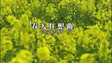 绿色生命之舞，探寻小草世界的神秘魅力