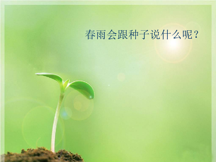 绿色生命之舞，探寻小草世界的神秘魅力