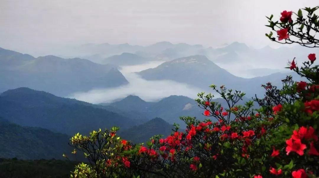 多彩云朵的一年级奇妙之旅