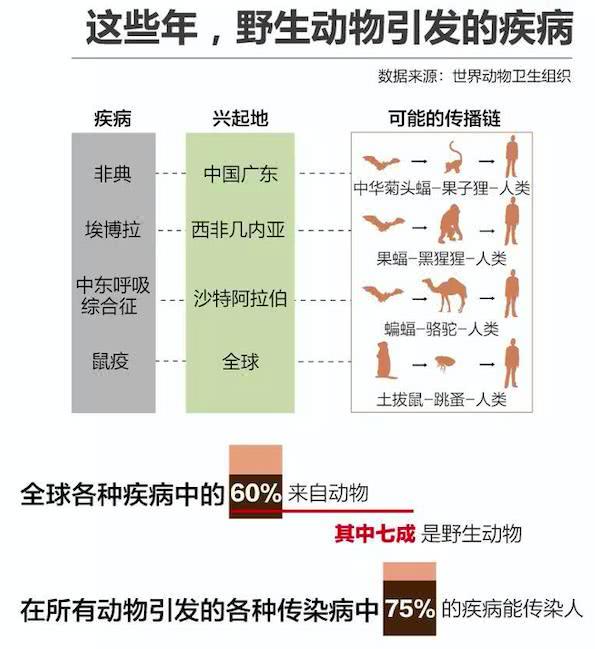 疫情封城，历史记忆与防控策略的挑战与应对