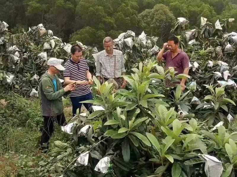 上海本地疫情的发现与应对措施