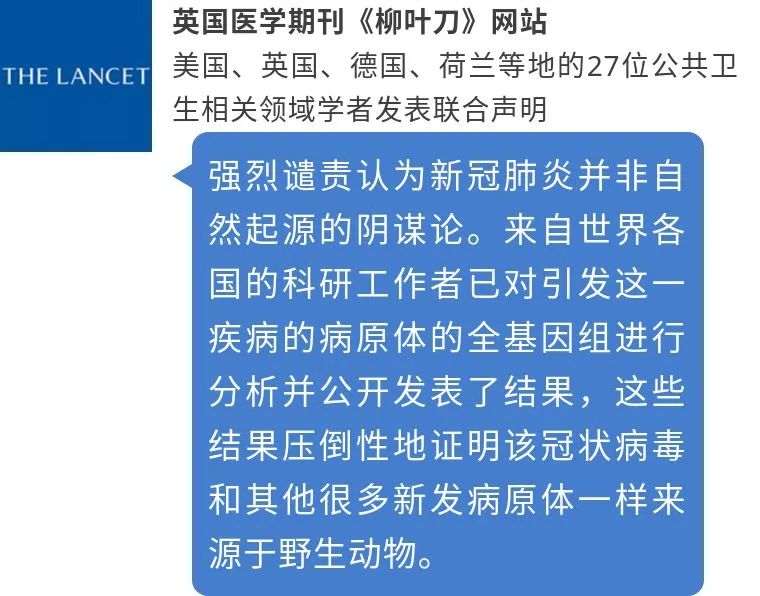 疫情回溯，病毒起源的日期探究