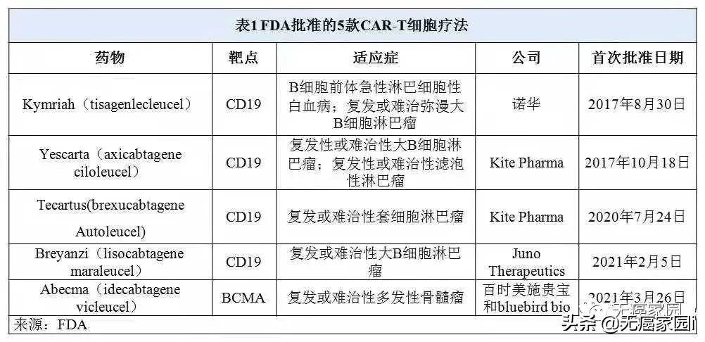 全球疫情回顾，关键事件时间表 2021年疫情概览