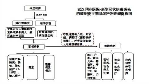 武汉疫情的传染途径与方式解析