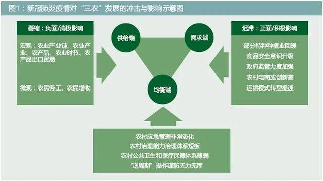 新冠疫情三年发展概述