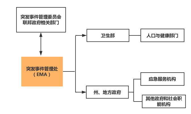 全球公共卫生危机，疫情起源与应对策略