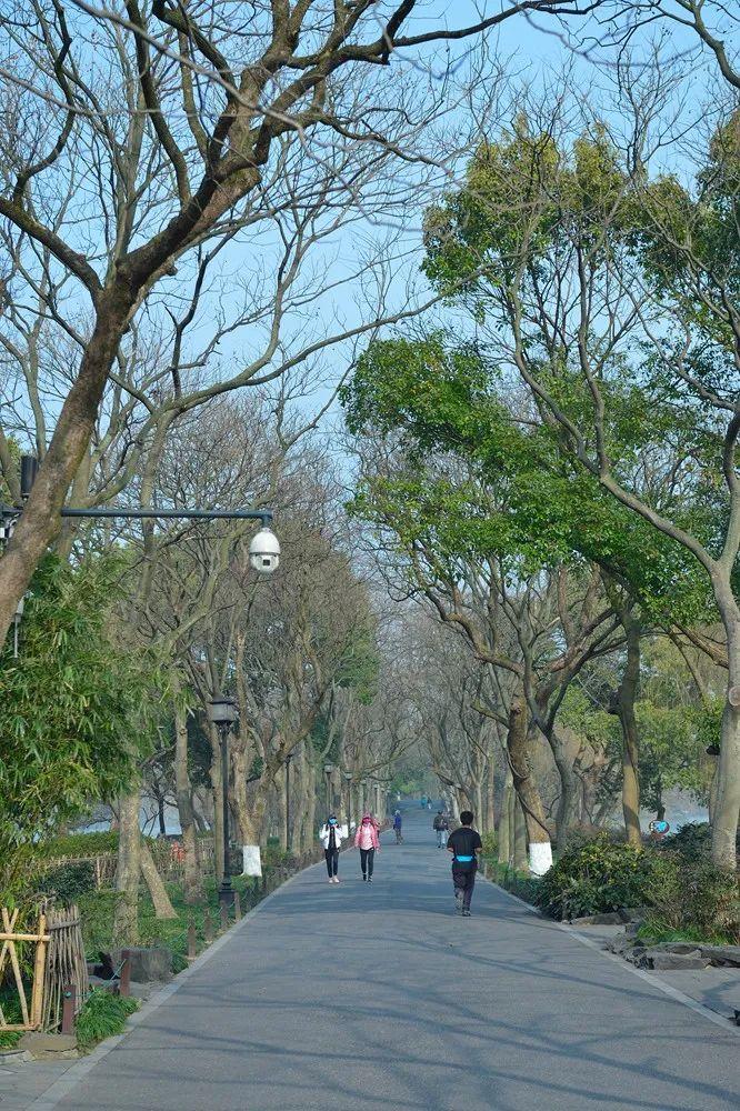 杭州疫情封控下的城市脉络与民众心声，回望与反思