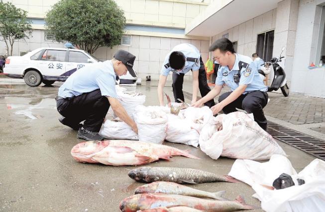 北京市村干部监督热线，透明监督助力基层治理新途径