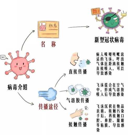 新冠疫情起因与源头深度探究