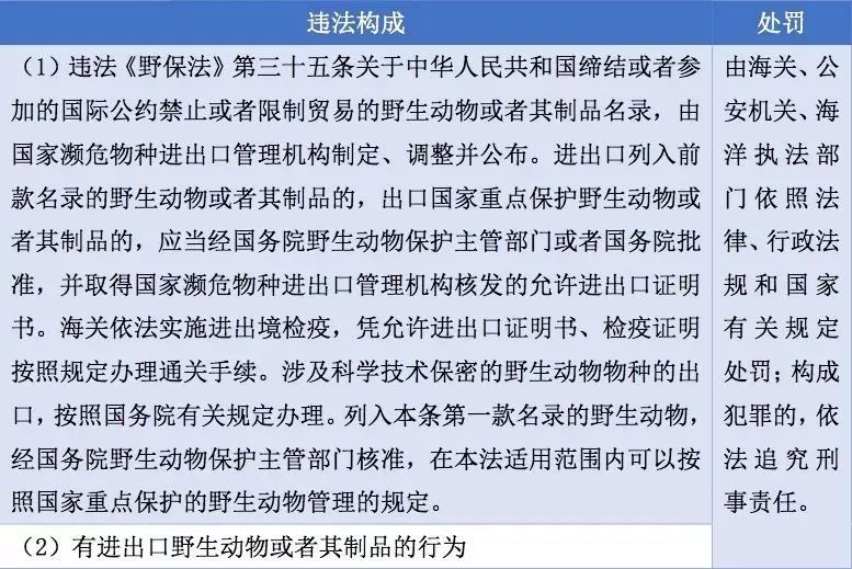 疫情期间家教活动法律解读，是否违法？