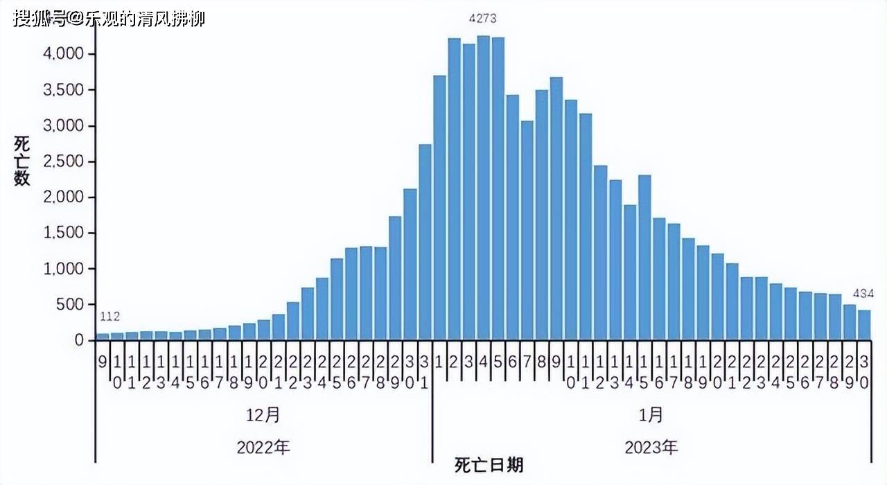 疫情放开后死亡人数最新消息，全面分析并展望未来趋势