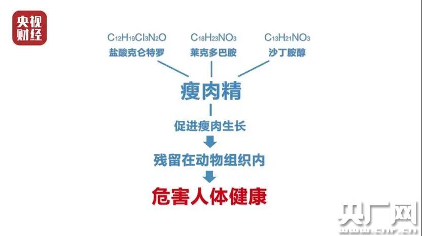 天津市市场监管管理的卓越实践，市市场监管委的职能与贡献解析