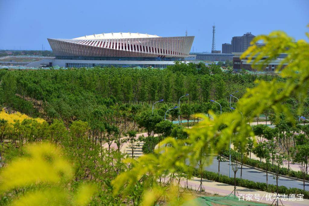 天津中医药大学哈虹，绽放的学术之光