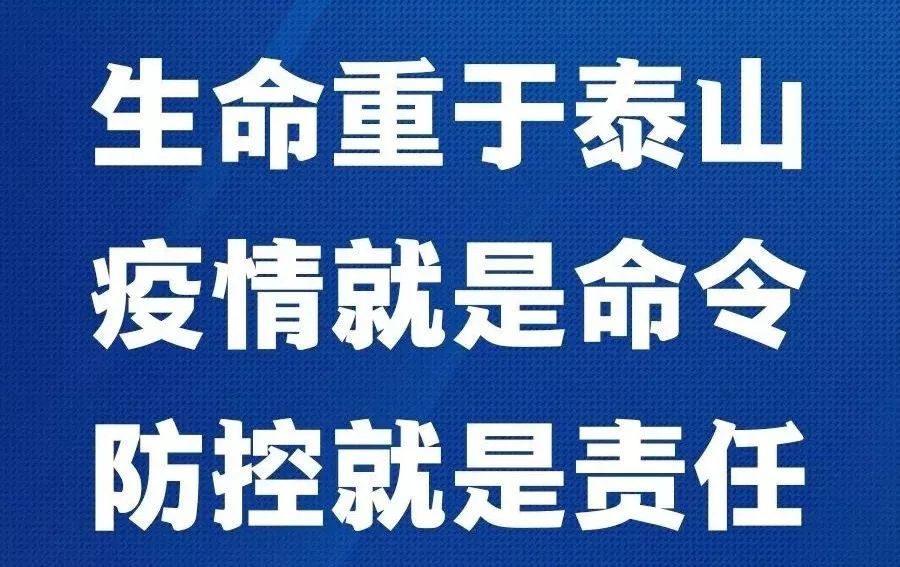 上海疫情防控指挥部官网，信息透明与公众力量的融合平台