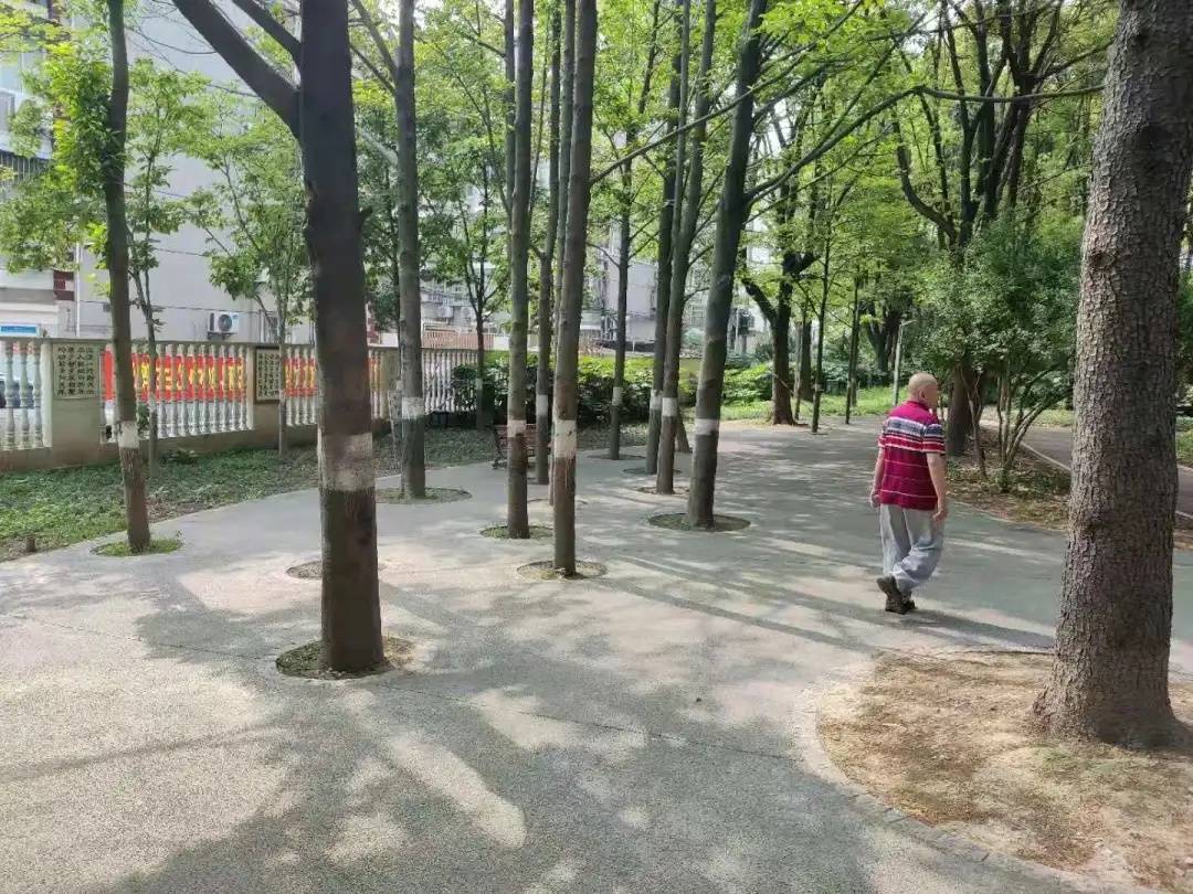 南昌市疫情防控办公室，筑牢防线，守护城市健康安宁