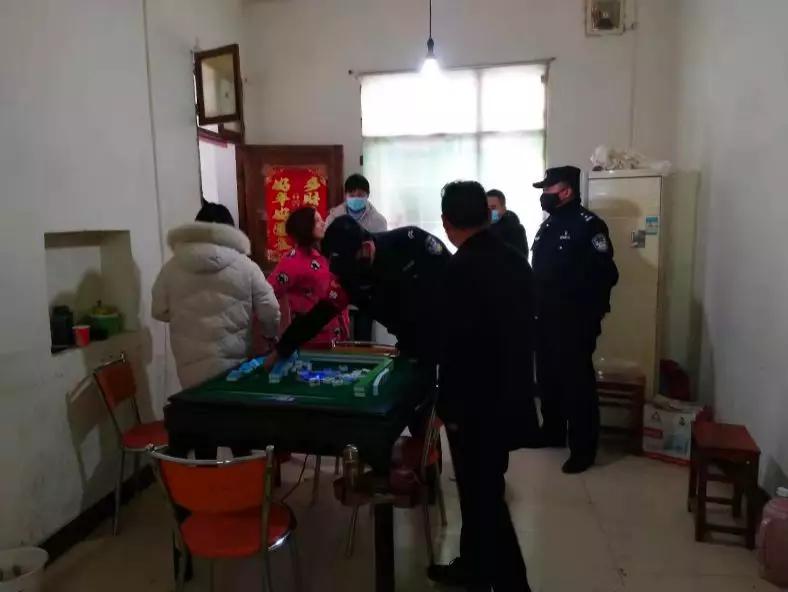郑州合肥疫情最新动态，城市防控进展与应对策略