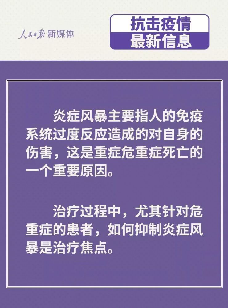 香港政府抗疫网站，透明信息与公众力量的汇聚地