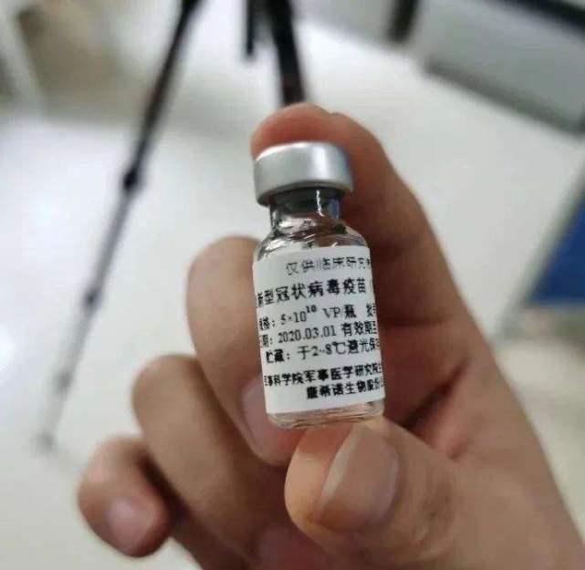 北京疫苗公司及其重要性概述