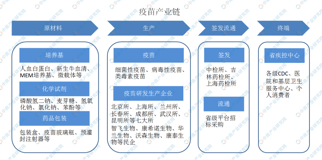 北京与上海疫苗品质与选择深度探讨