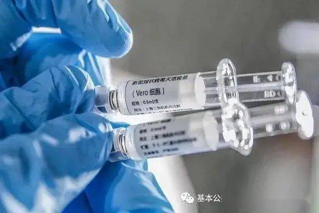 北京与河北疫苗差异及其原因探究