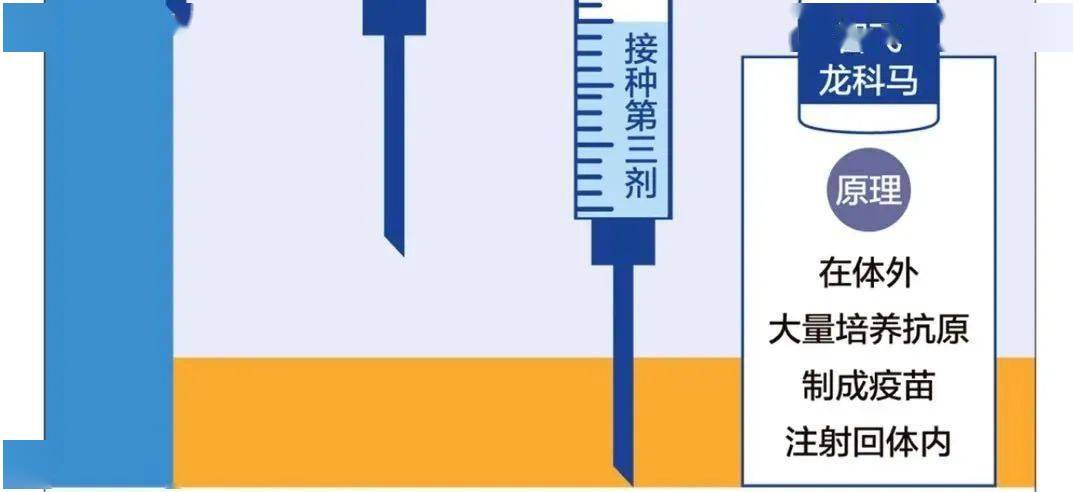 解读北京疫苗停止接种背后的真相及其影响
