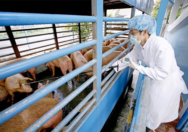 香港政府官网疫情最新动态解析与应对策略指南