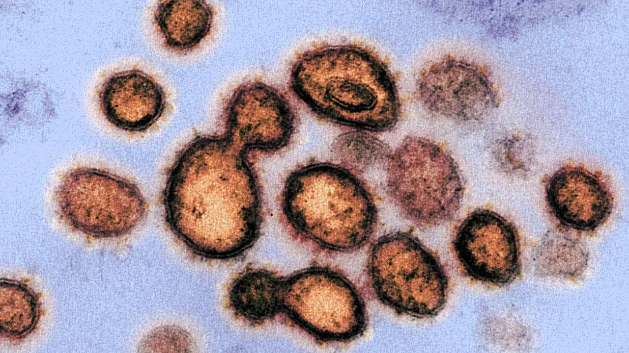 北京生物疫苗在香港的认可程度概览