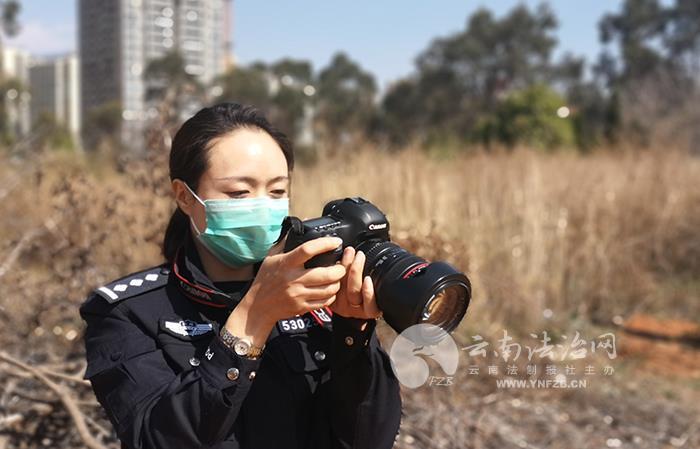 疫情背景下北京与昆明的最新动态