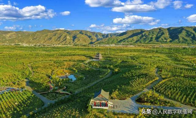 呼和浩特与北京，疫情下的城市共担与希望之光闪耀草原都市
