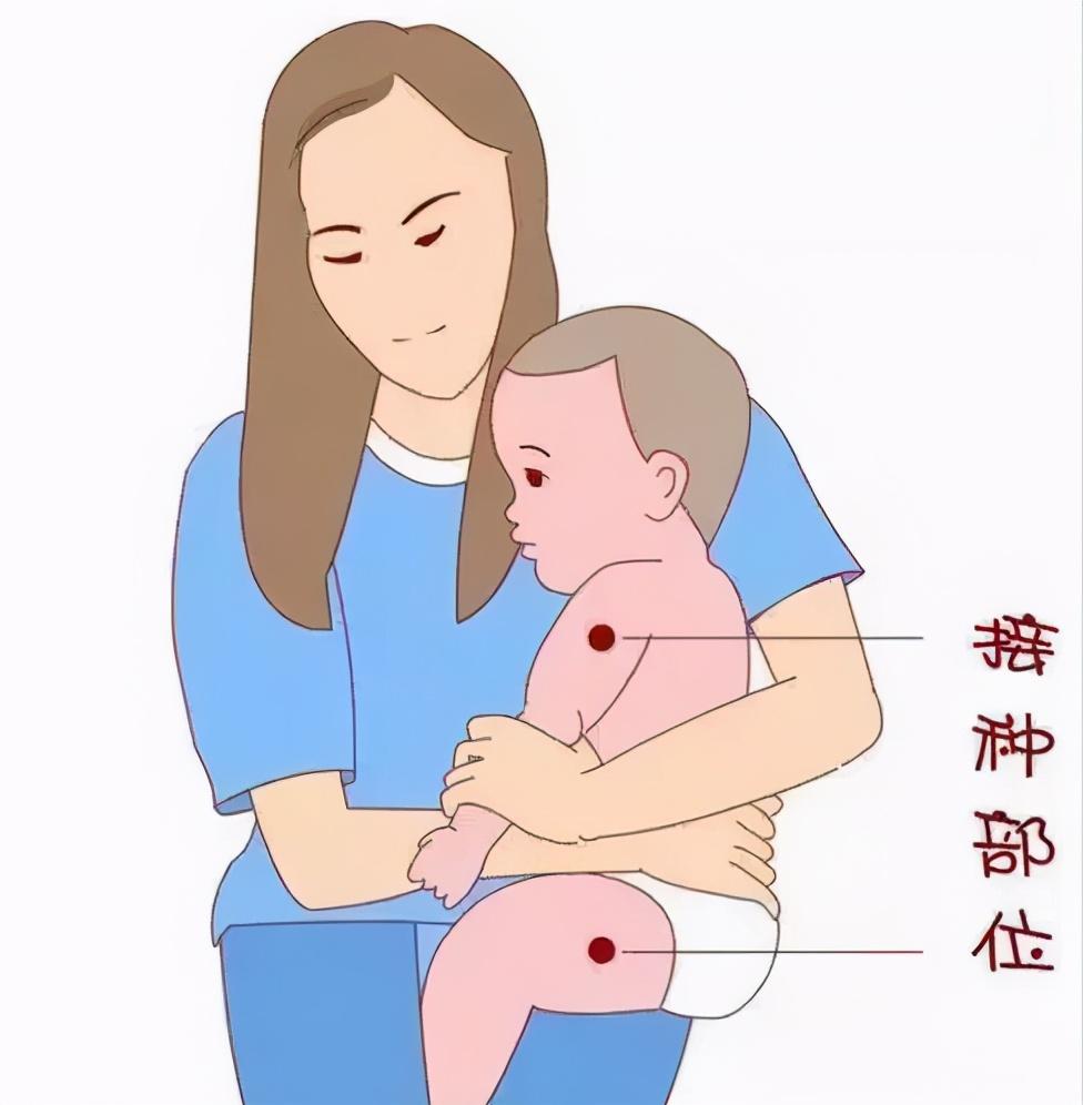 北京港澳地区疫苗接种指南，解读与全面指南