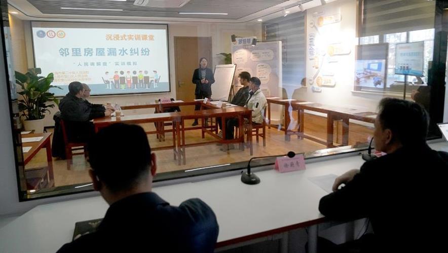 基层矛盾的解决与法治精神的实践，北京告村书记案例观察