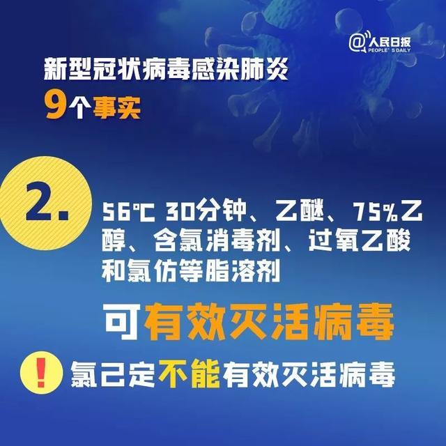 河南省卫健委官网发布，新型肺炎最新动态与应对策略公告