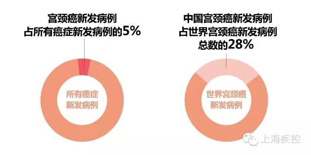 北京疫情下的疫苗接种与兰州预约攻略详解