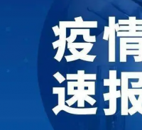 黑龙江省与贵阳市疫情最新通报，疫情动态与防控进展