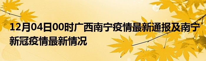 南宁疫情新增病例及影响分析