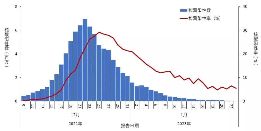 揭秘，2018年疫情背后的病毒真相探究