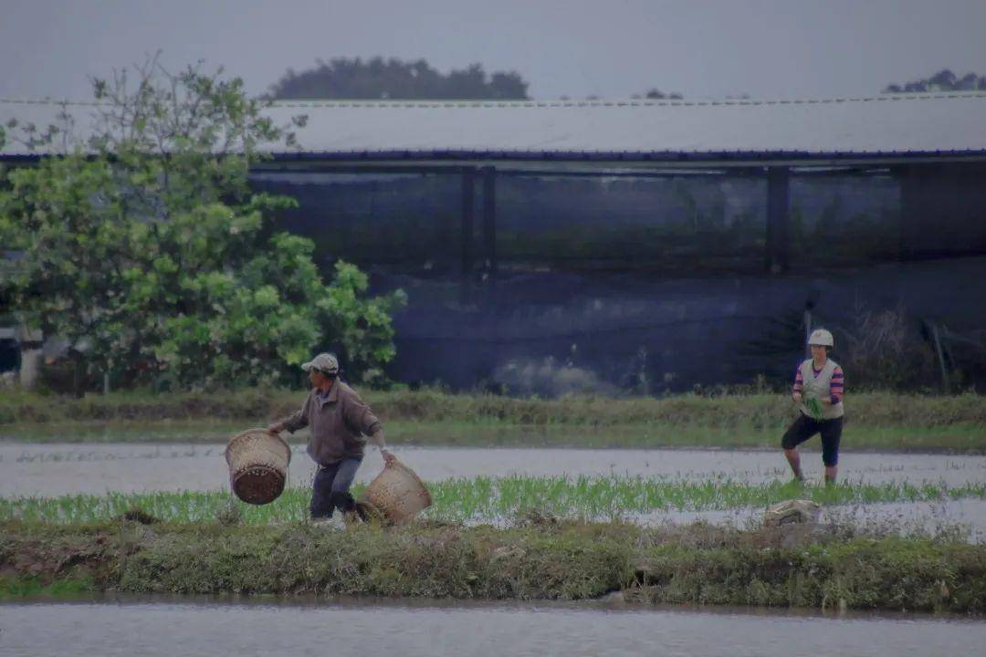 回忆美好时光，2018年的温暖岁月，疫情之外的美好篇章