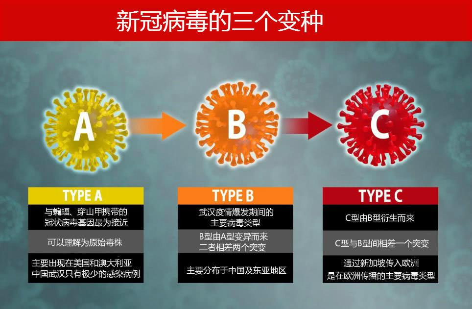 三年疫情背后的病毒类型深度探究