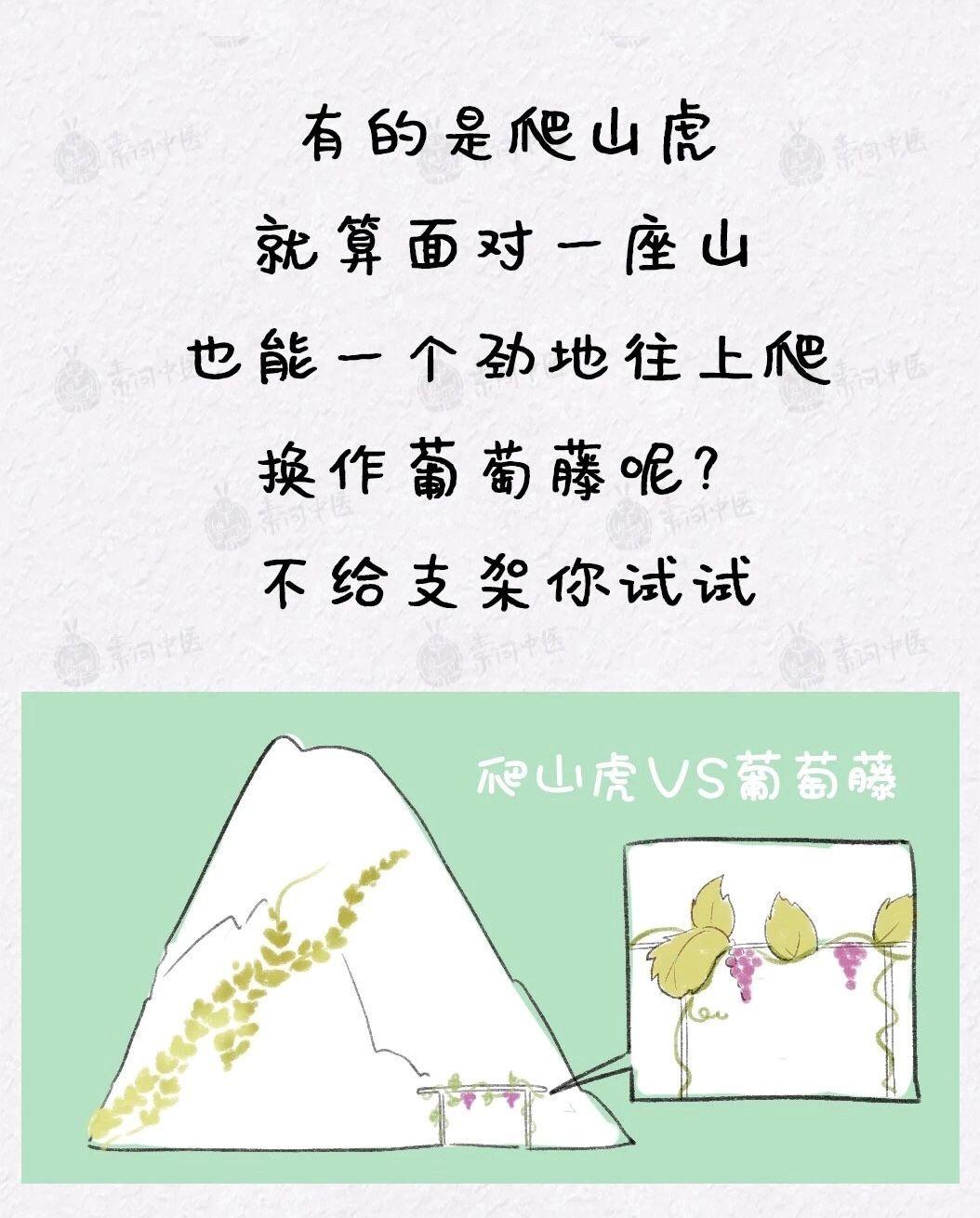 疫情下的家教生活，漫画阅读之旅，探索家庭教育的乐趣与智慧