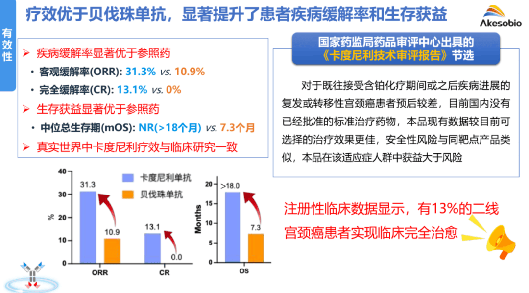 面向未来的防护，2024年疫情应对药物指南