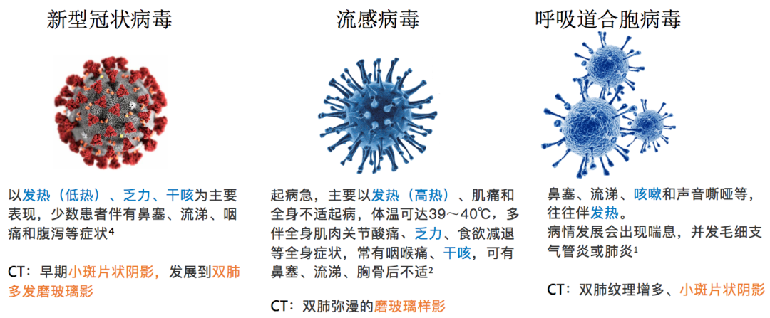 疫情病毒详解，名称、症状一网打尽！