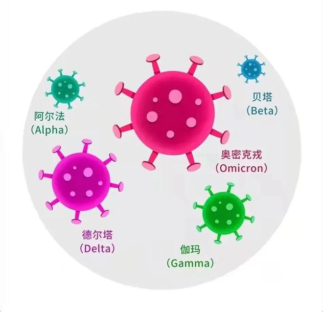 疫情病毒名称特征研究，揭示我们所面临的威胁