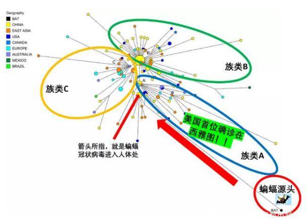 疫情病毒全名揭秘，病毒本质与防控策略探究